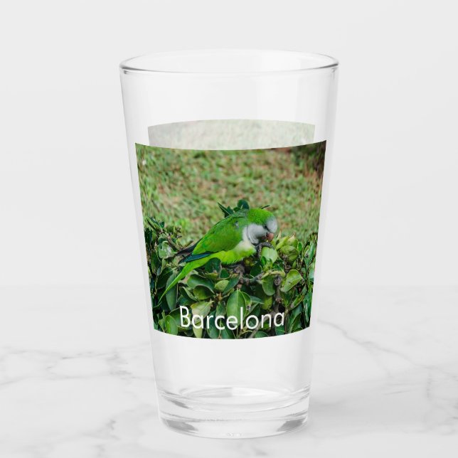 Verre Perroquet vert (Devant)