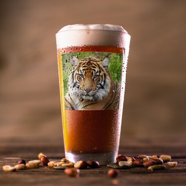 Verre Photo Big Cat Sumatran Tiger (In Situ Beer)