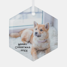 Verre photo de chien mignon Ornement Noël Fêtes