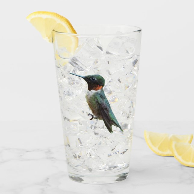 Verre Photographie d'oiseau de colibri à gorge rubis (Devant glace)