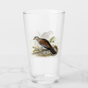 Verre Pigeon tourterelle Streptopelia Peinture Nature Oi