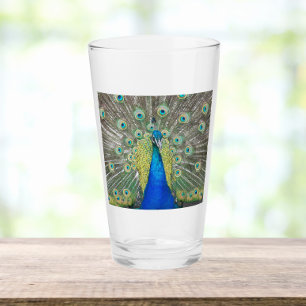 Verre Plumage bleu Peacock