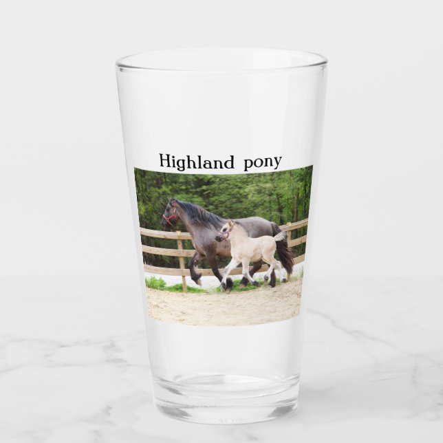 Verre poney Highland (Devant)