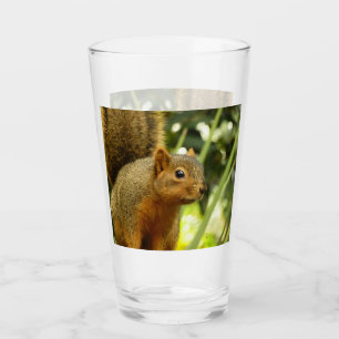 Verre Portrait d'un écureuil Nature Animal Photographie