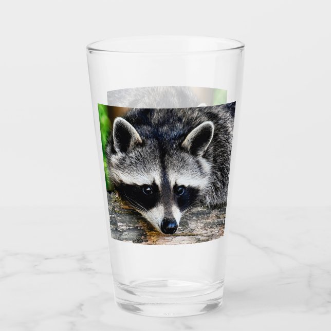 Verre Raccoon 003 (Devant)