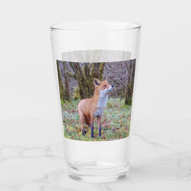 Verre Renard rouge levant les yeux (Devant)