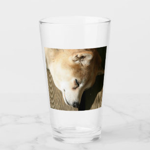Verre shiba inu