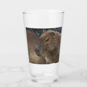 Verre toony Capibarah