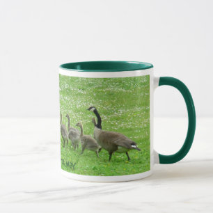 Verres d'oies de tasses de tasses de café d'oies