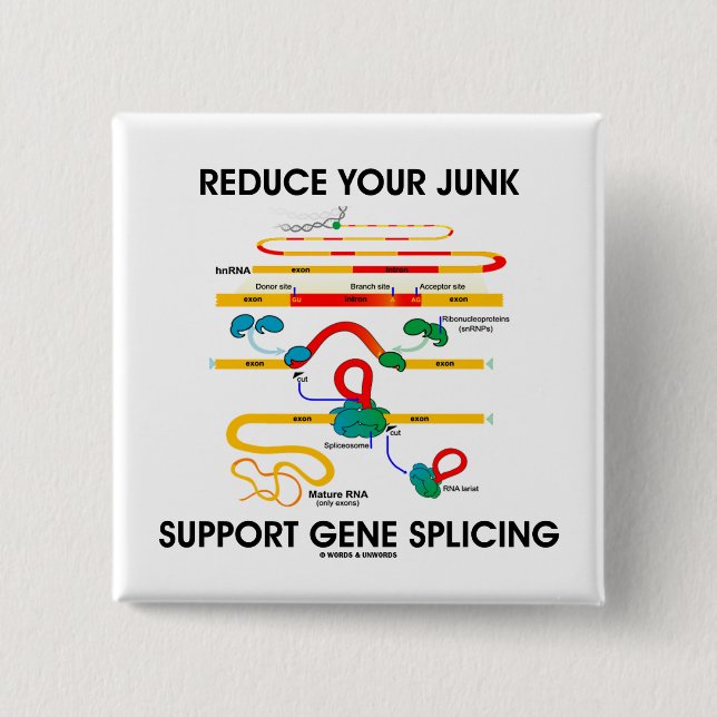 Verringern Sie Ihr Kram-Stützgen-Verstärken (RNS Button (Vorderseite)