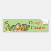 Verrückt für Conures!