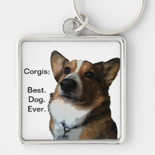 Verrückt für Corgis Schlüsselanhänger
