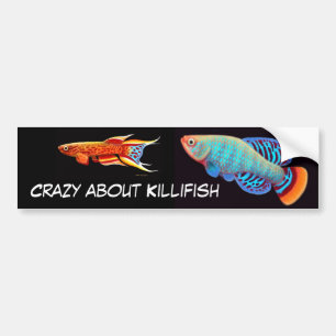 Verrückt über Killifish-Autoaufkleber Autoaufkleber