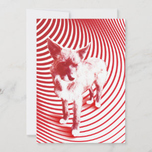 verrückte Hasenie Einladung