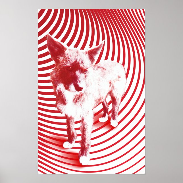 verrückte Hasenie Poster (Vorne)