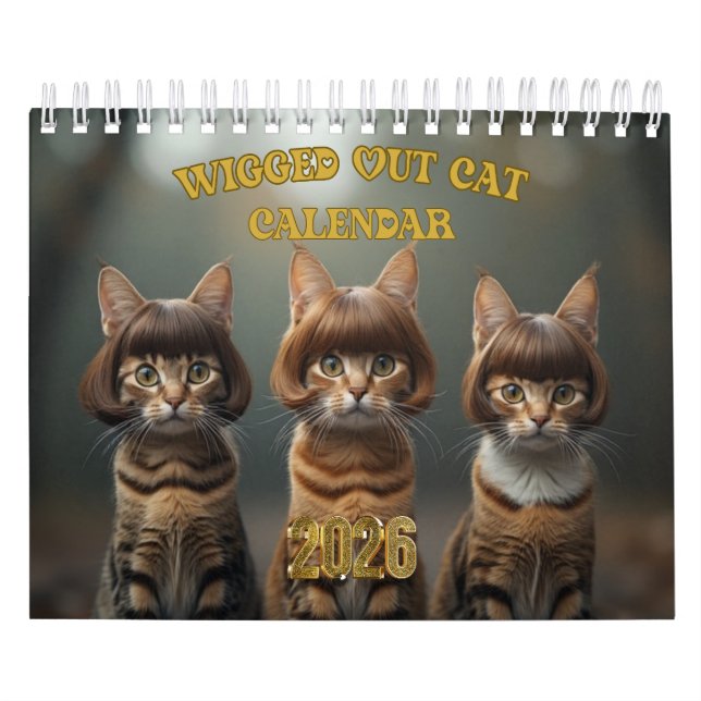 Verrückte Katze Kalender (Titelbild)