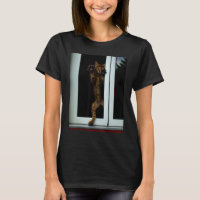 Verrückte Katzenkunst Katzenmeme