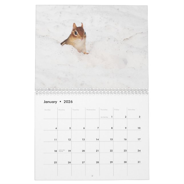 Verrückte niedliche Chipmunks 2011 Kalender (Jan 2026)