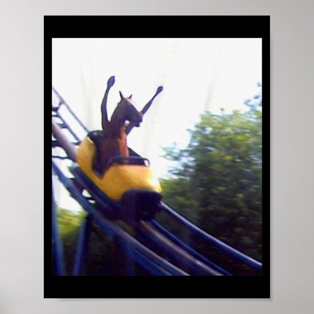 Verrückte Pferd Reit Achterbahn Meme Internet Fu Poster (Vorne)