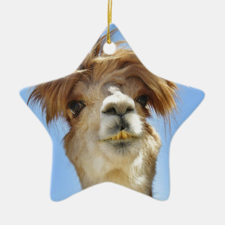 Verrücktes Haar-Alpaka Keramikornament