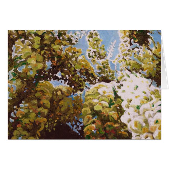 Vers la glycine 2011 (Devant horizontal)