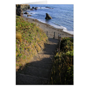 Vers le bas à la roche de requin