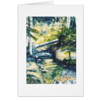 Vers le bas du lac Oowah