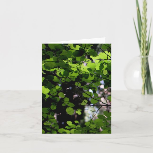 Vers le haut de dans la carte de note d'arbres (Devant)