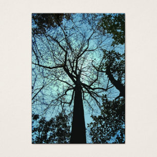 Vers le haut de l'ATC d'arbre