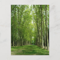 Versailles-Baum-Garten-romantischer Weg Frankreich