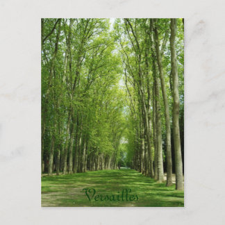 Versailles-Baum-Garten-romantischer Weg Frankreich Postkarte