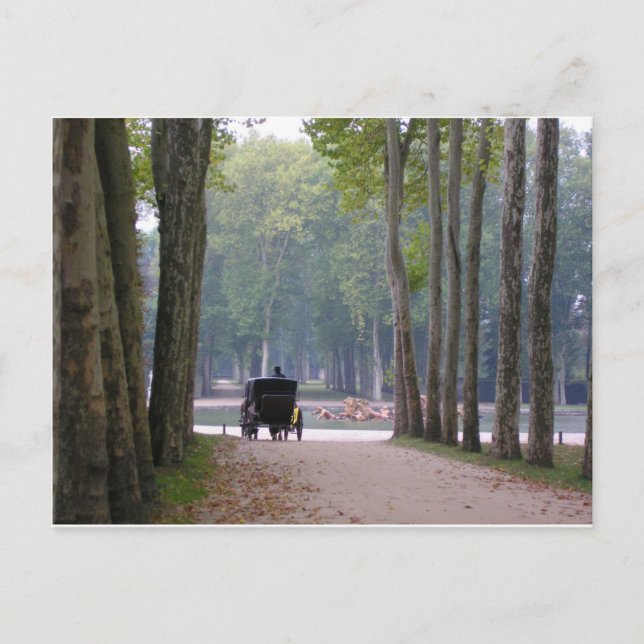Versailles-Buggy 1 Postkarte (Vorderseite)