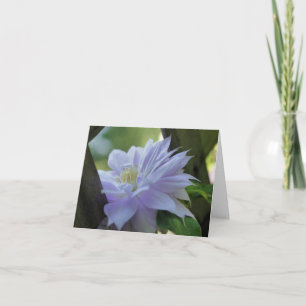 Verschachtelte Clematis-Blumenfotografie
