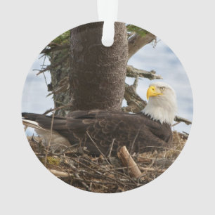 Verschachtelungs-Weißkopfseeadler Ornament