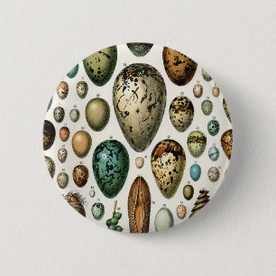 Verschiedene Arten der wissenschaftlichen Darstell Button