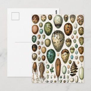 Verschiedene Arten der wissenschaftlichen Darstell Postkarte