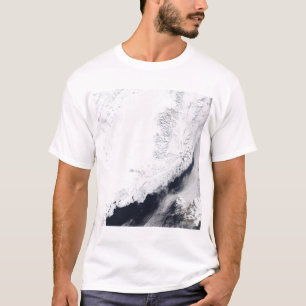 Verschiedene Arten des Treibeises T-Shirt