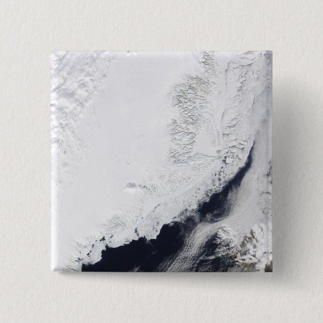 Verschiedene Arten von Meereis Button (Vorderseite)