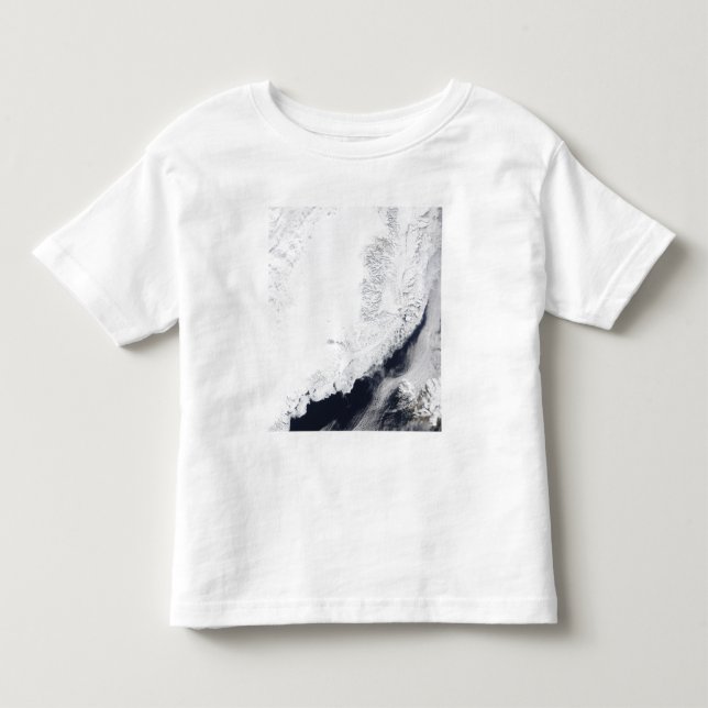 Verschiedene Arten von Meereis Kleinkind T-shirt (Vorderseite)