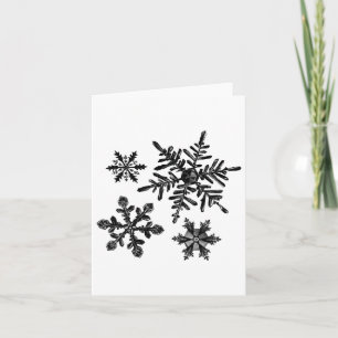 Verschiedene Arten von Schneeflocken Snow Crystal  Karte