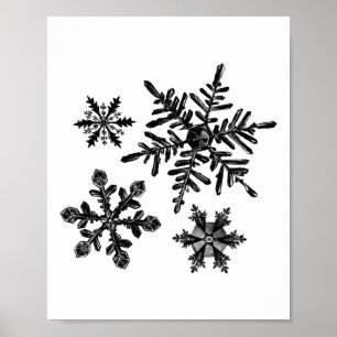 Verschiedene Arten von Schneeflocken Snow Crystal Poster