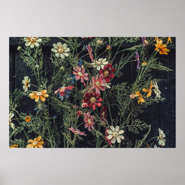 Verschiedene Blume auf schwarzem Holzboden. Ab Poster (Vorne)