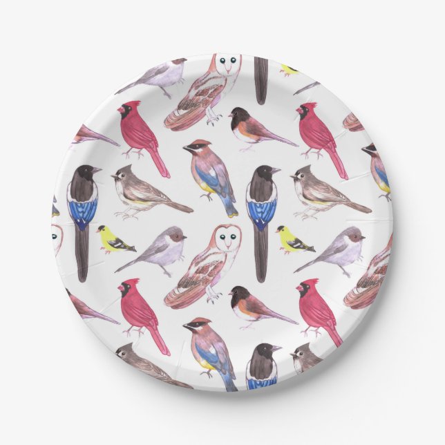 Verschiedene bunte Vogel-Aquarellmalerei Pappteller (Vorderseite)
