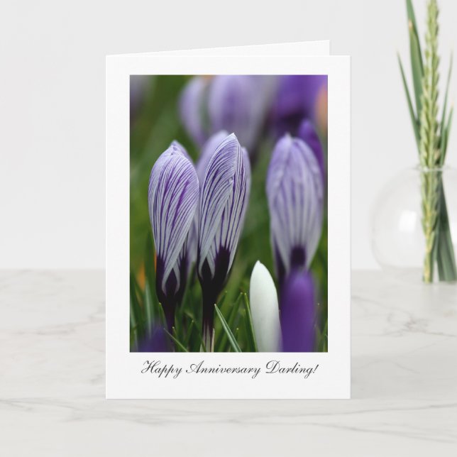 Verschiedene Crocuses - Happy Anniversary Darling Karte (Vorderseite)