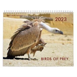 Verschiedene Greifvögel Kalender