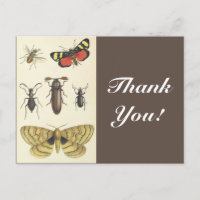 Verschiedene Insekten + "Danke!", Vintag aussehen