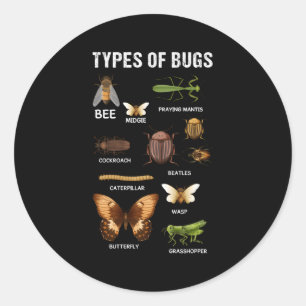 Verschiedene Insektenarten Bug Hropod Entomologen Runder Aufkleber