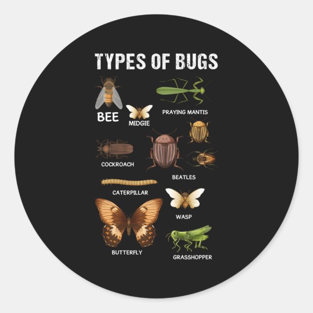 Verschiedene Insektenarten Bug Hropod Entomologen Runder Aufkleber (Vorderseite)