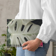 Verschiedene Monstera Leaf Floral