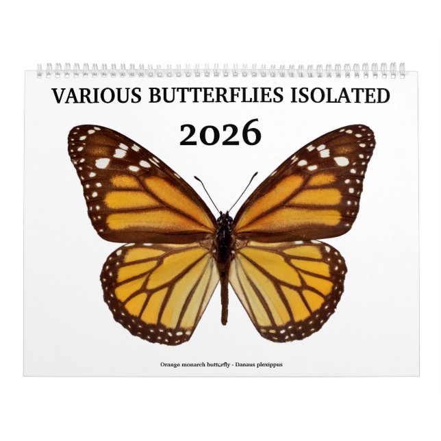 Verschiedene Schmetterlinge 2023 Kalender (Titelbild)